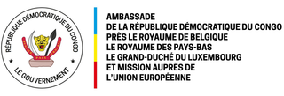 Logo Ambassade RDC